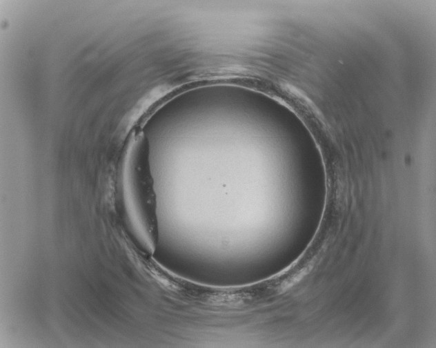 X0000062171457200512121228