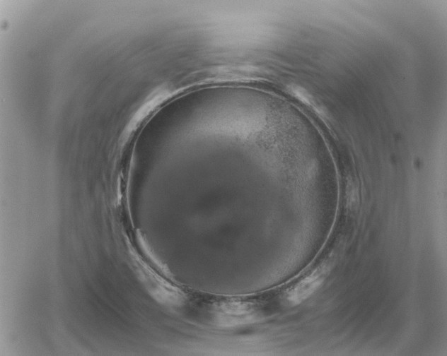 X0000062171459200512121228