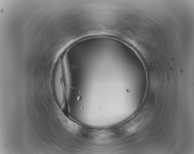 X0000062171460200512121228