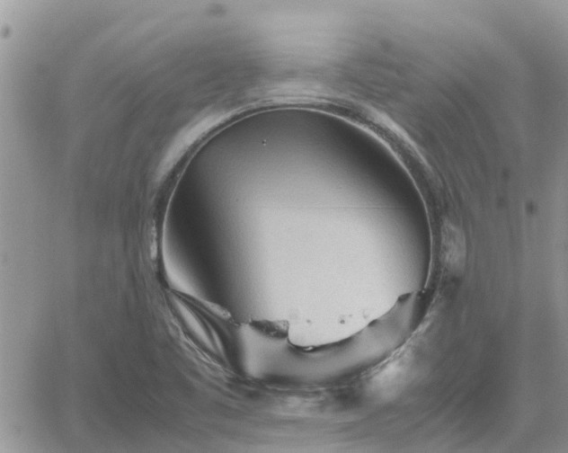 X0000062171461200512121228