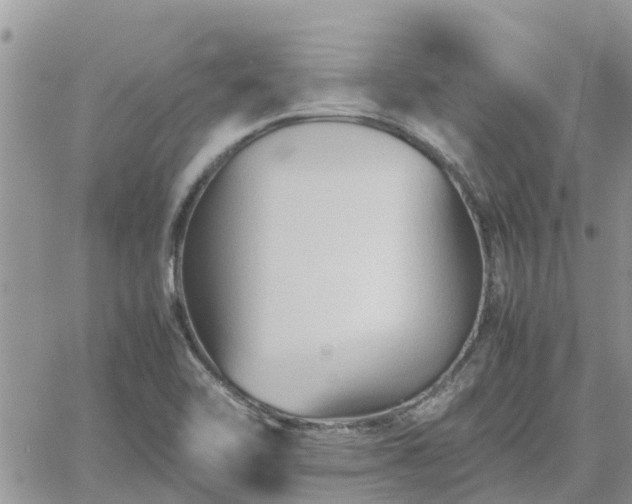 X0000062171462200512121228