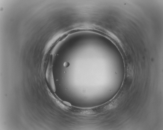 X0000062171464200512121228