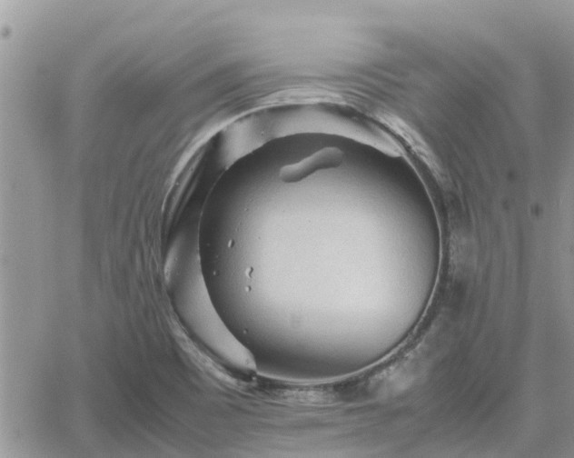 X0000062171465200512121228