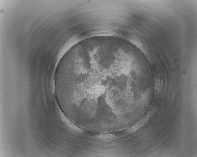 X0000062171466200512121228