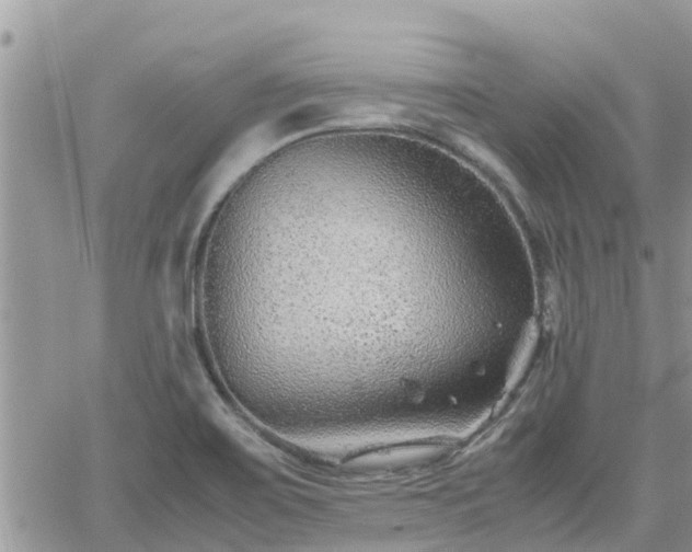 X0000062171467200512121228