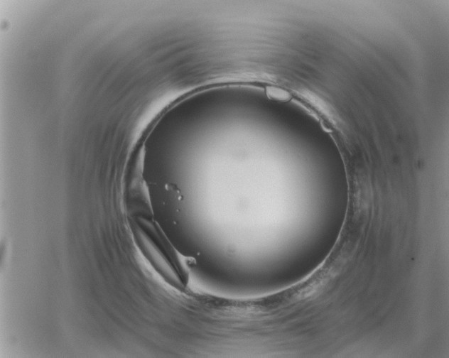 X0000062171468200512121228