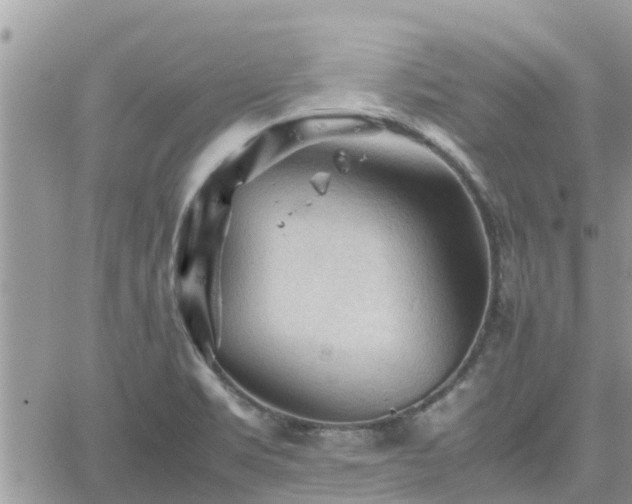 X0000062171469200512121228