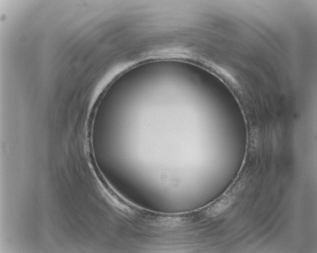 X0000062171470200512121228