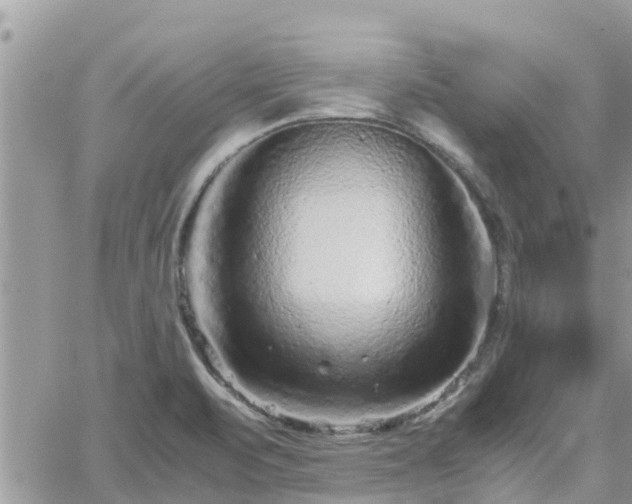 X0000062171471200512121228