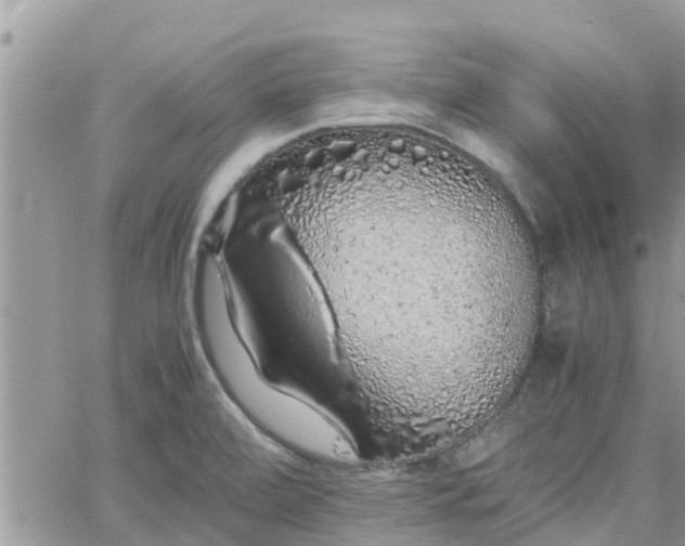 X0000062171472200512121228