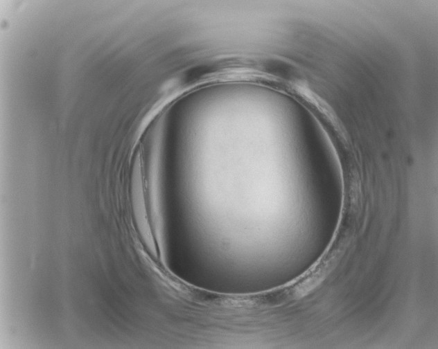 X0000062171473200512121228