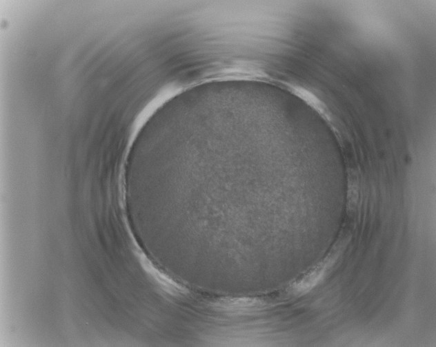 X0000062171474200512121228