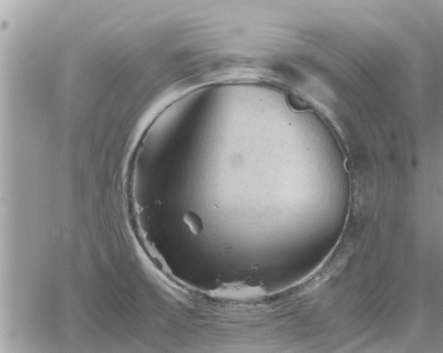 X0000062171475200512121228