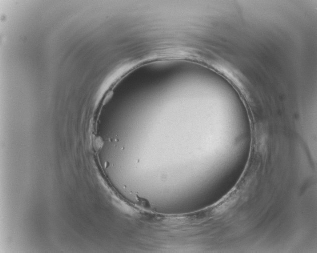 X0000062171477200512121228