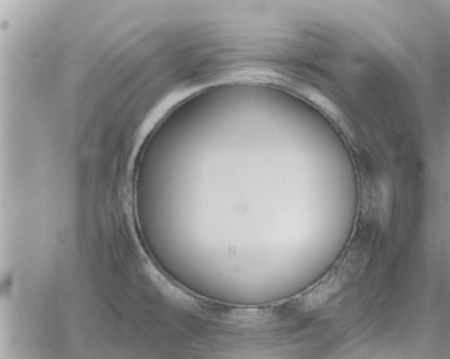 X0000062171478200512121228