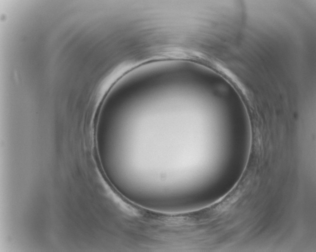 X0000062171479200512121228