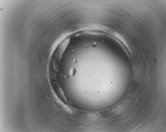 X0000062171480200512121228