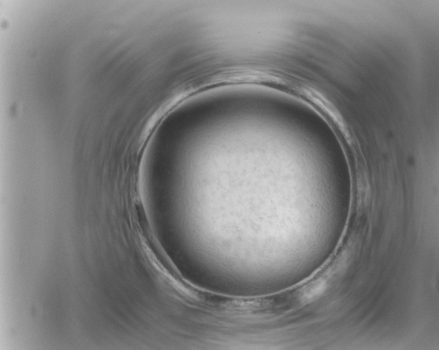 X0000062171481200512121228