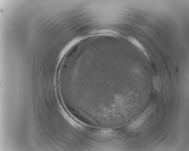 X0000062171482200512121228