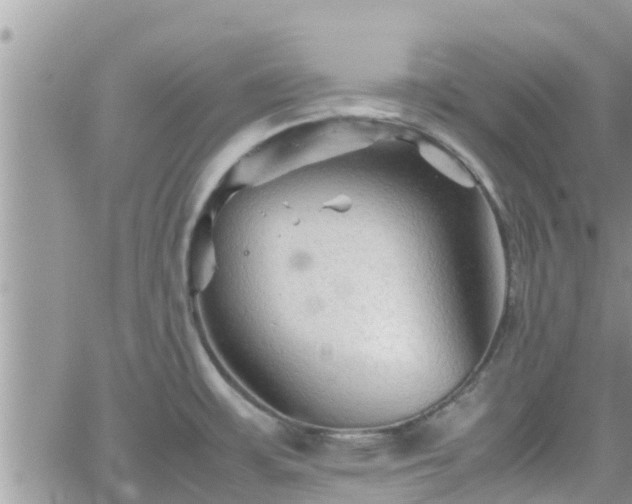 X0000062171483200512121228