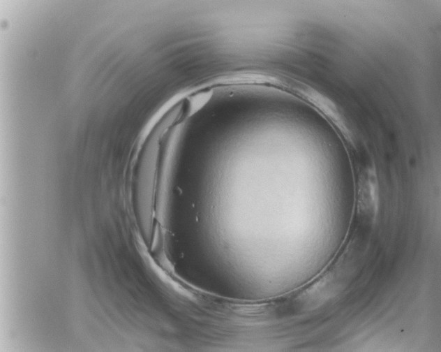 X0000062171484200512121228