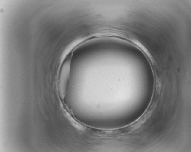 X0000062171485200512121228