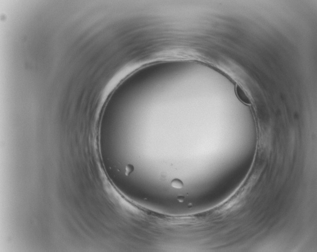 X0000062171486200512121228