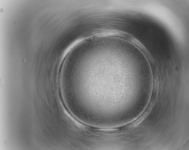 X0000062171487200512121228