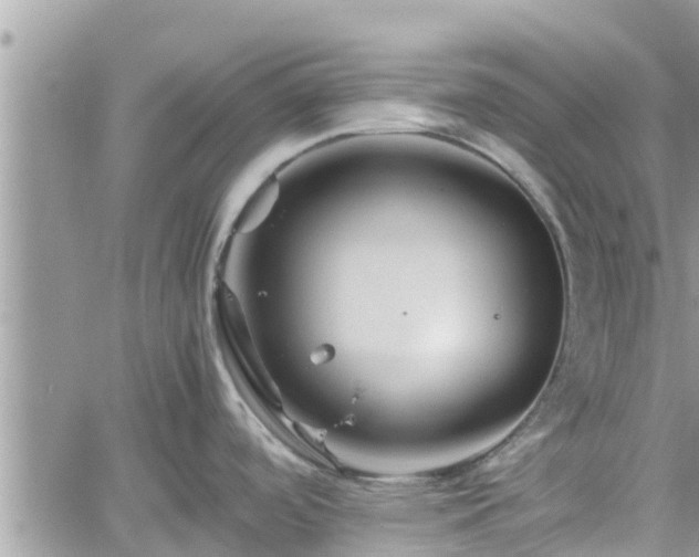 X0000062171488200512121228