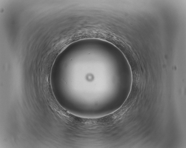 X0000062171489200512121227