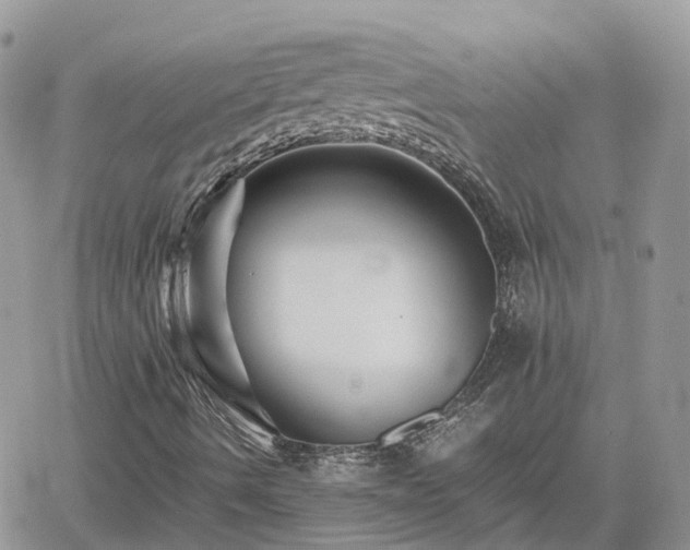 X0000062171490200512121227