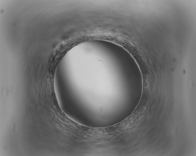 X0000062171493200512121227