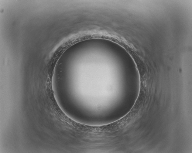 X0000062171495200512121227