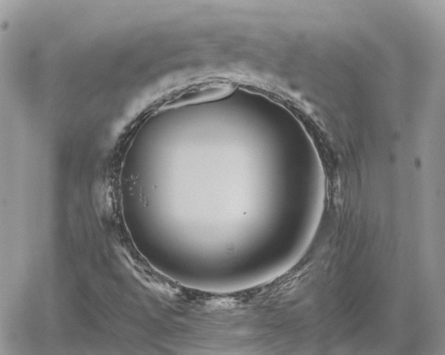 X0000062171496200512121227