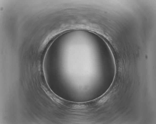 X0000062171499200512121227