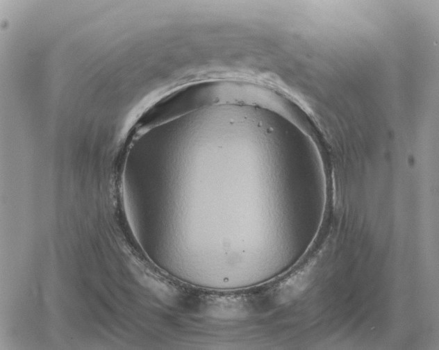 X0000062171501200512121227