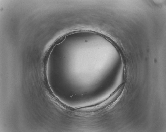 X0000062171502200512121227