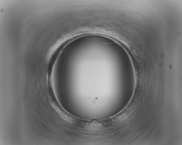 X0000062171503200512121227