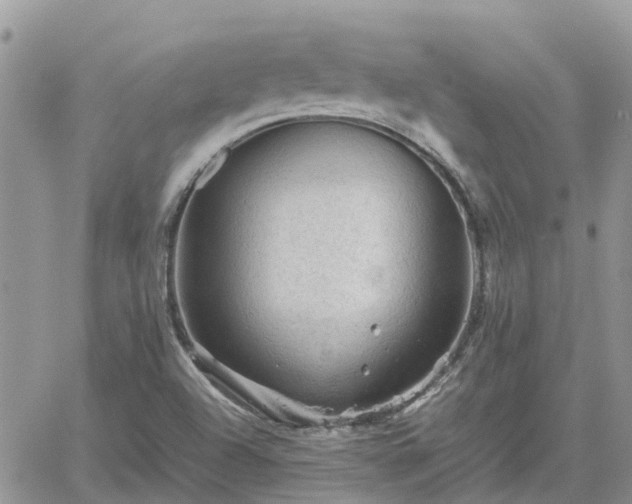 X0000062171504200512121227