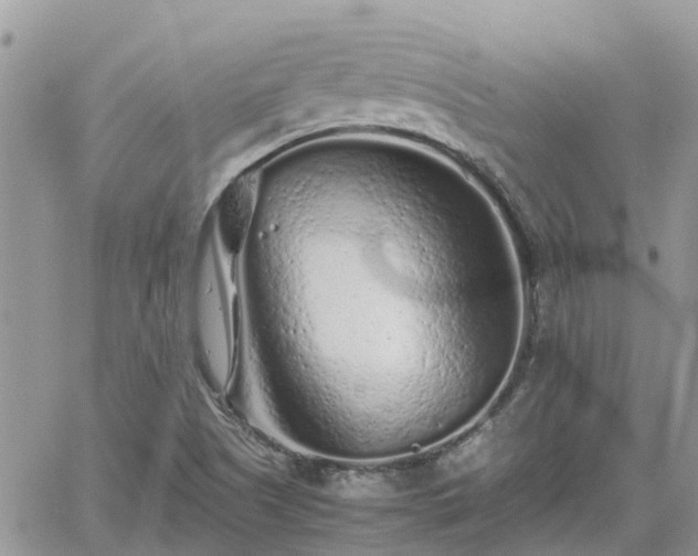 X0000062171505200512121227