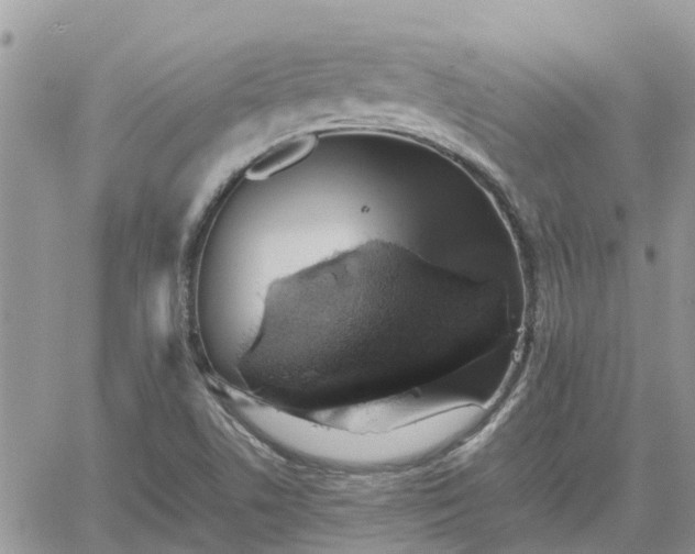 X0000062171506200512121227