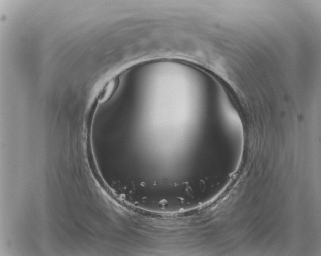 X0000062171508200512121227