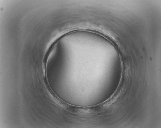 X0000062171509200512121227