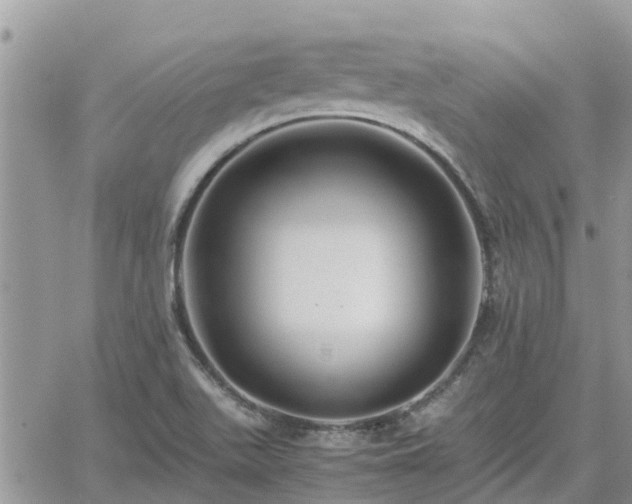 X0000062171511200512121227