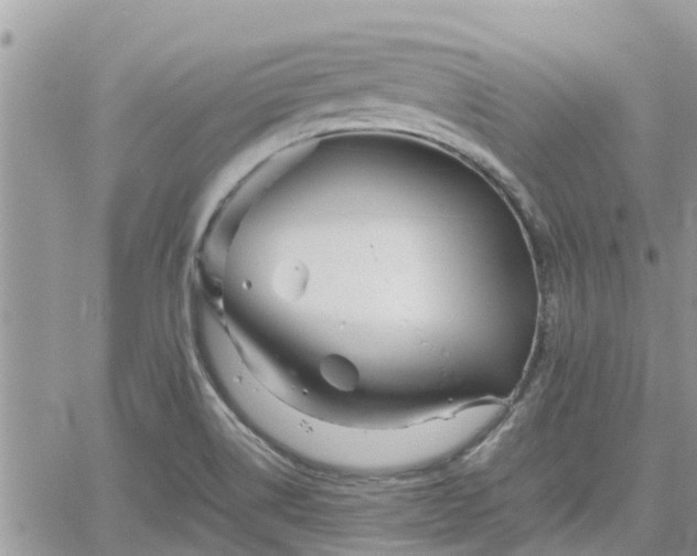 X0000062171514200512121227