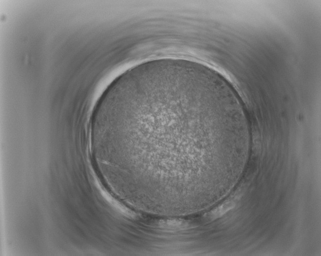 X0000062171515200512121227