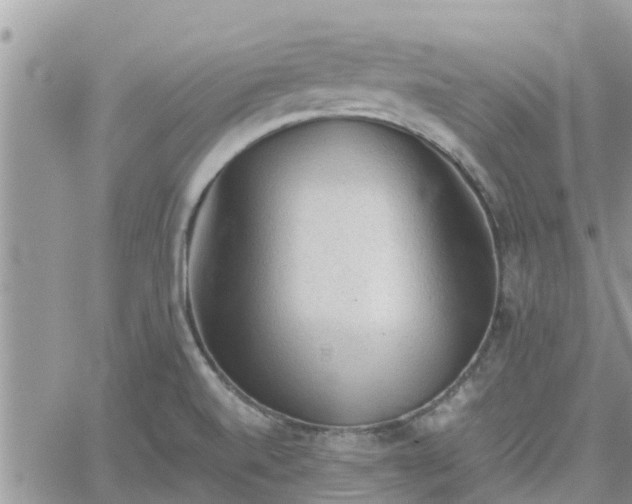 X0000062171520200512121227