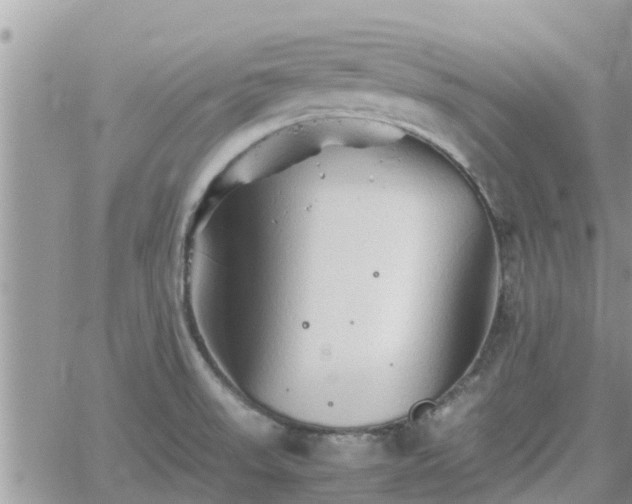 X0000062171523200512121227