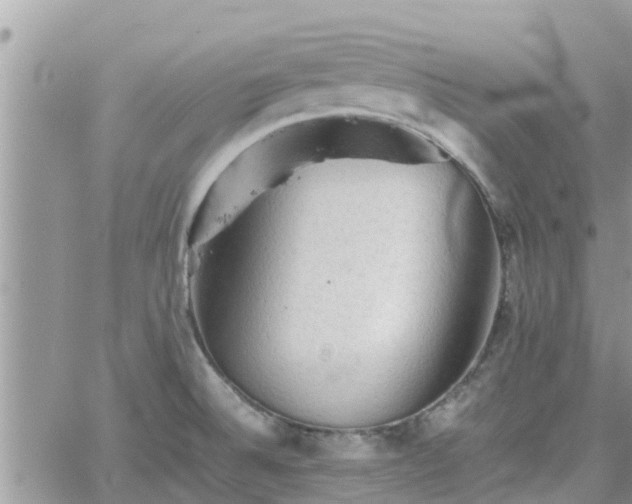 X0000062171524200512121227