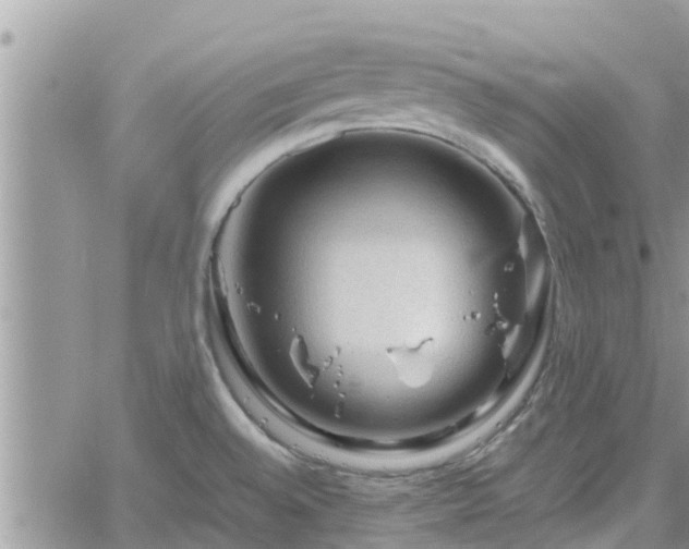 X0000062171528200512121227